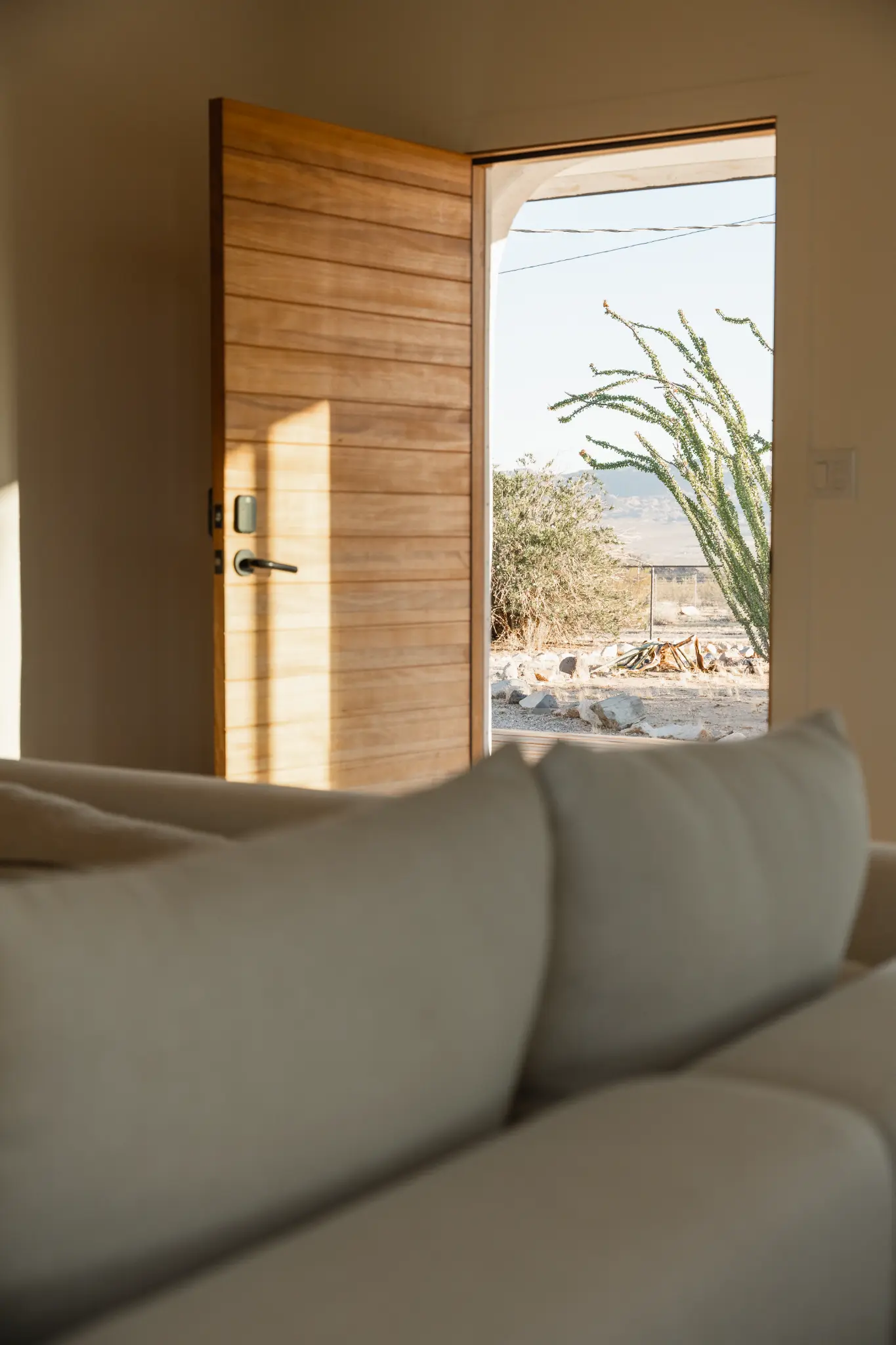 Living room detail — curated objects and warm light
